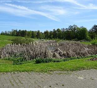 Hohenheimer Gärten