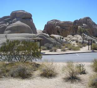 Joshua Tree N.P.
