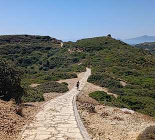 Der Weg hinunter