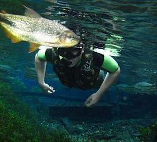 Schnorcheln mit den Fischen