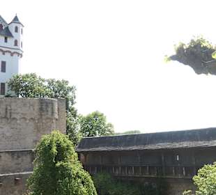 Die Kurfürstliche Burg Eltville