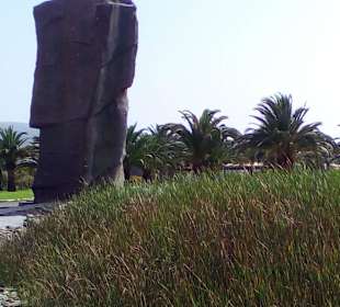 Parque del Sur in Maspalomas