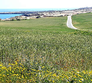 Nationalpark Kap Greco