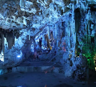 Ausflug nach Gibraltar 