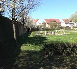 Friedhof