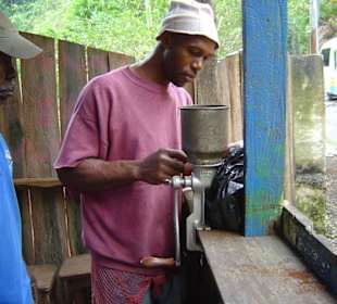 Ausflug in die Blue Mountains