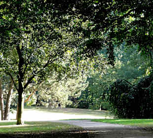 Herbstspaziergang durch Knoops Park