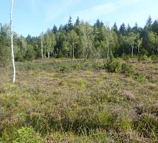 Wandern Murnau am Staffelsee