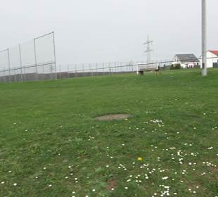 Sportanlage Suppingen