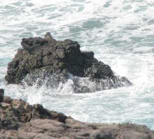 Westküste Fuerteventuras am Istmo de La Pared