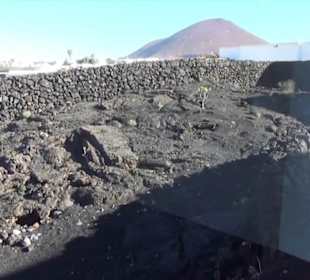 Fundacion Cesar Manrique