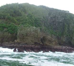 Manuel Antonio Bucht