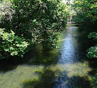 Stadtrundgang Singen