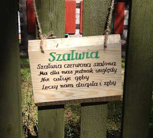 Festiwal ziół