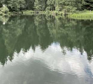 Kinzigsee