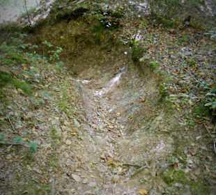 Moselsteig