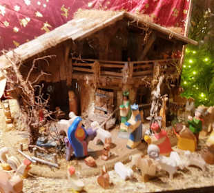 Grippenausstellung versch. Leihgaben