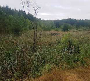 Naturschutz pur