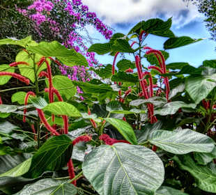 Es ist alles etwas bunter