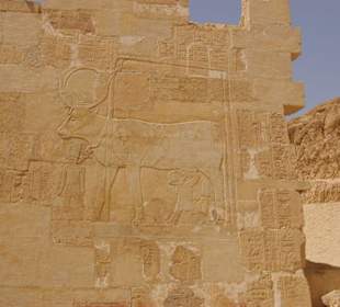 Tempel der Hatschepsut