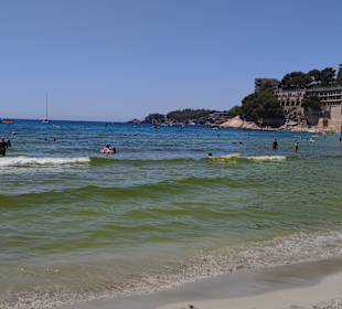 Strand Paguera/Peguera