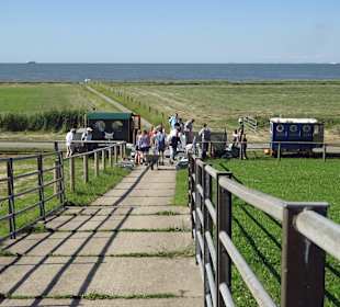 Lorenbahn - Verbindung zum Festland