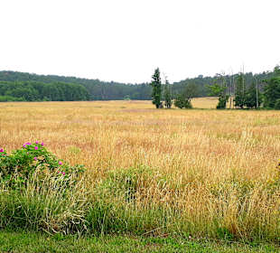 Wanderung Halbinsel Gnitz