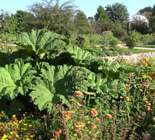 Botanischer Garten München
