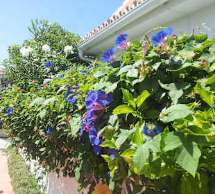 Überall schöne Eindrücke