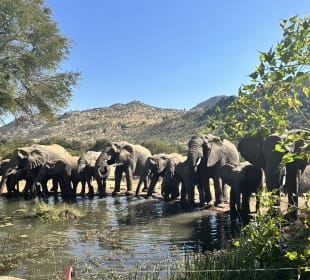 Pilanesberg Nationalpark