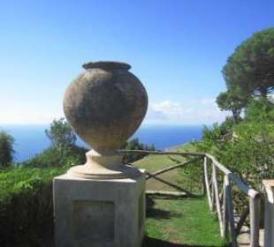 Ausblick mit Vase