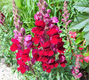 Eindrücke vom Rundgang durch den Park der Gärten