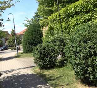 Evangelische Kirche Bondorf