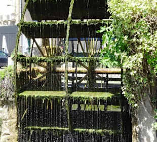 Rundgang durch die Altstadt