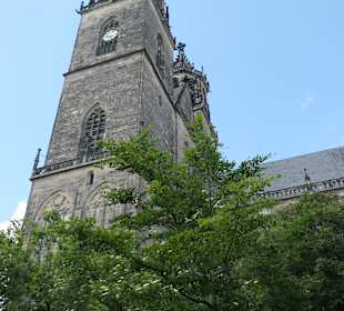 Der Dom von Magdeburg am Domplatz
