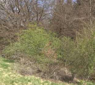 Rundweg am Beutenlay