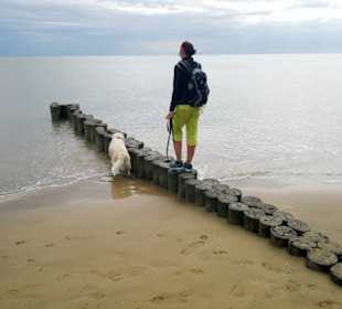Frauchen macht es vor Hundestrand