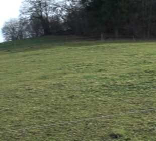 Krähberg-Kapellenberg Eglingen