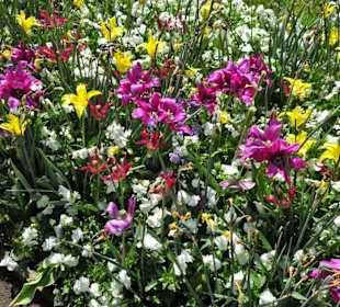 Eindrücke vom Rundgang durch den Berggarten