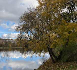 Schlosspark 1
