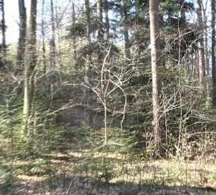 Wanderung Florianrunde