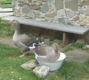 Interessantes Museum