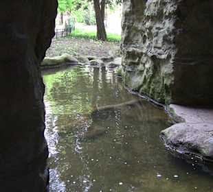 Das gestaute Wasser aus der Höhle