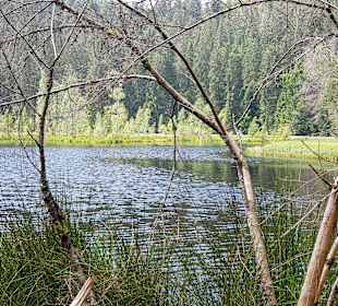 Rundwanderweg Baiersbronn