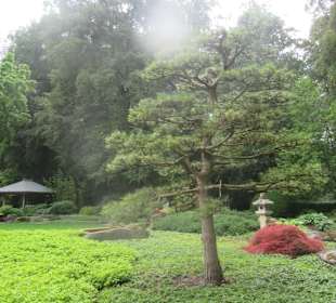 Botanischer Garten Augsburg