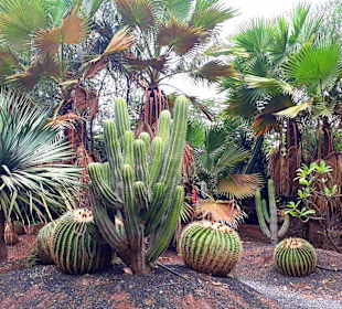 Botanischer Garten Viveiro