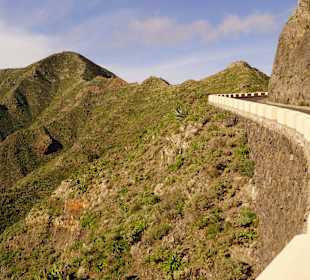 Weg nach Buenavista del Norte