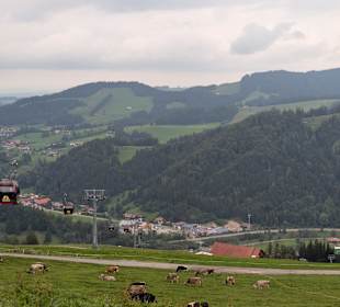Sonstiges