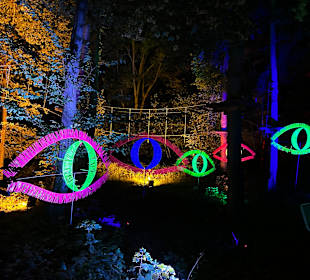 Herbstlichter Brückenkopfpark