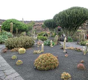 Jardin de Catcus